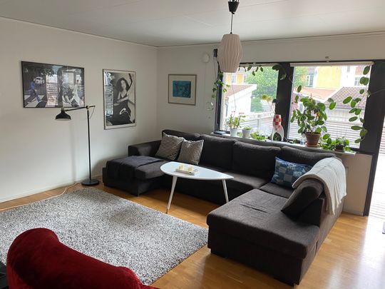 Trotzgatan, Falun - Photo 1