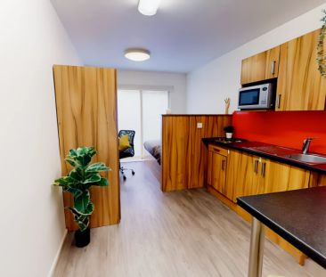 Deluxe Studio - Photo 6