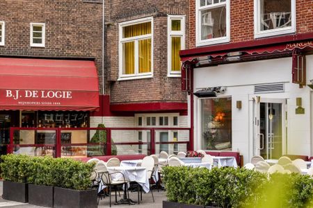 Minervaplein 48-3, Minervabuurt-Zuid, 1077TW, Amsterdam - Foto 4