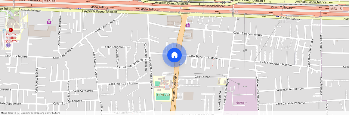 Avenida Tecnológico 1415, San Salvador Tizatlalli, 52132 Metepec, MEX, Mexico