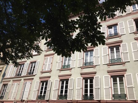 Location Appartement 2 pièces 38m² STRASBOURG 67000 - Photo 4