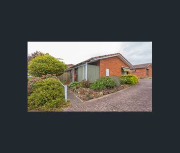 Gorgeous 2 Bedroom Unit - Photo 1