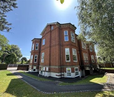 1 Bedroom Apartment To Let - Photo 4