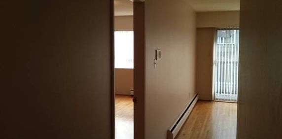 One Bedroom - Photo 2