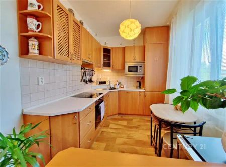 Pronájem 2+KK, Zbýšov u Brna, ul. Sportovní - Fotografie 2