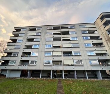 À la recherche d’un nouveau foyer - Photo 5