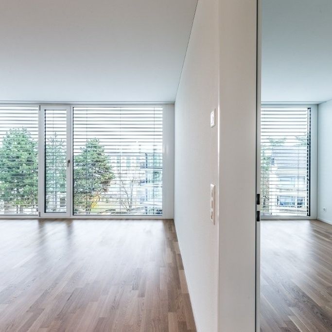 Grosse, helle Wohnung in Allschwil gesucht? - Photo 1