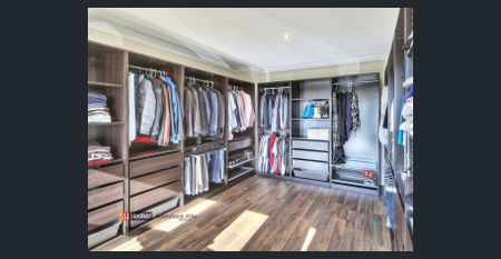 Spacious 5-Bedroom Family Home for Rent Mansfield State High School Catchment - Photo 4