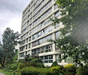 Location Appartement 1 pièce 24m² LAMBERSART 59130 - Photo 6
