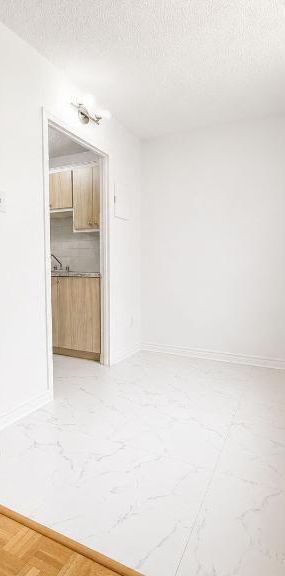 1 CH - 1 SDB - Montréal - $1,250 /mo - Photo 1