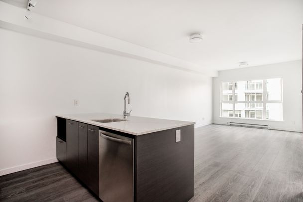 1008 Pandora Avenue, Victoria - Photo 1
