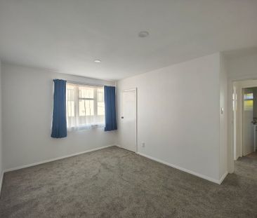 Renovated 3-Bedroom Standalone Home + Sunroom - Photo 3