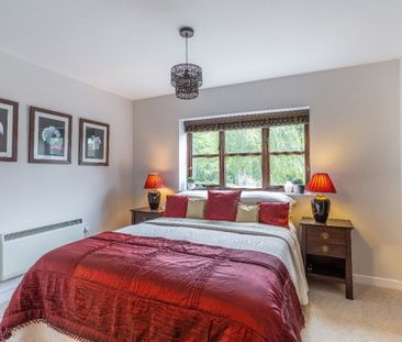 3 bedroom house to rent - Photo 3