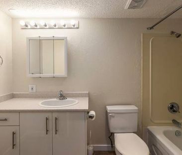 Renovated 1 Bedroom Suite - November 1st - $500 Gift Card! - Photo 1