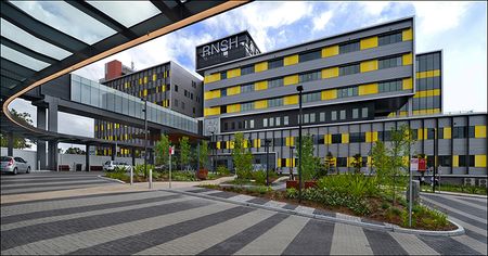 14 Anglo Road, Greenwich NSW 2065 - House For Rent | Domain - Photo 5