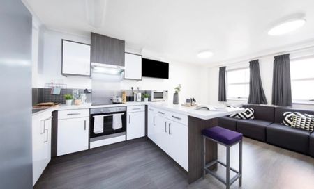 Room in a Shared Flat, Berry St, M1 - Photo 3