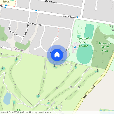 3/30 Houston Avenue, Tenambit NSW 2323