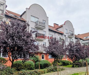 Piła, Zielona Dolina - Zdjęcie 6