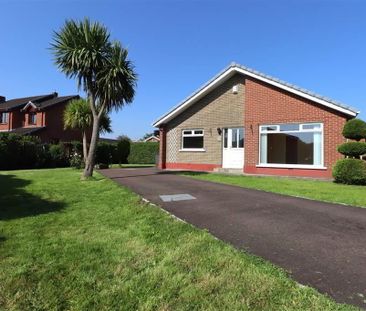 26 Monaville Drive, Lisburn, BT28 2DR - Photo 1