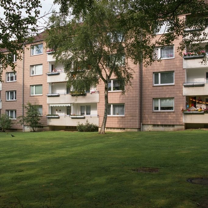 Willkommen Zuhause – Helle 3-Zimmer-Wohnung in grüner Lage - Photo 1