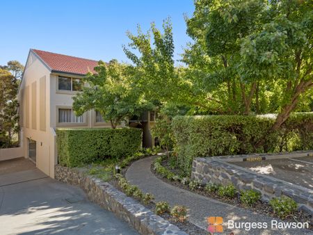 43/34 Leahy Close, Narrabundah ACT 2604 - Apartment For Rent | Domain - Photo 5
