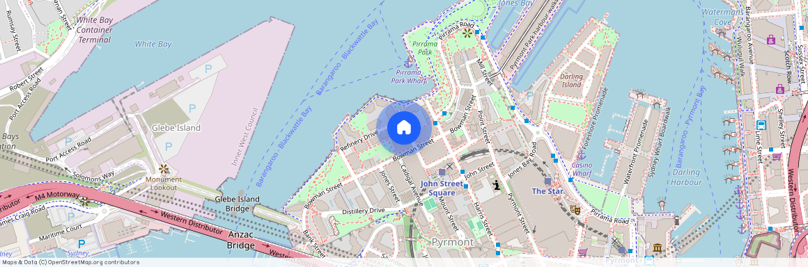 413/66 Bowman Street, Pyrmont NSW 2009