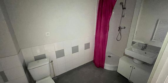 Location appartement 1 pièce, 29.09m², Toulouse - Photo 2