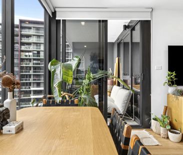 Stylish one bedroom apartment in the hear of Woden with a gym and p... - Photo 5