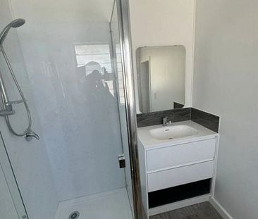 Spacious, convenient, new with lawns - Photo 4