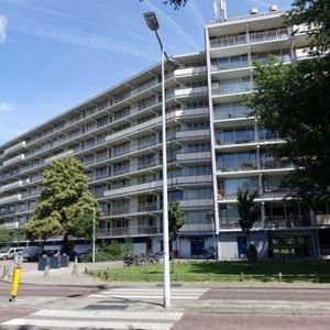 Arendshorst 0ong, 2317 CS Leiden, Nederland - Photo 2