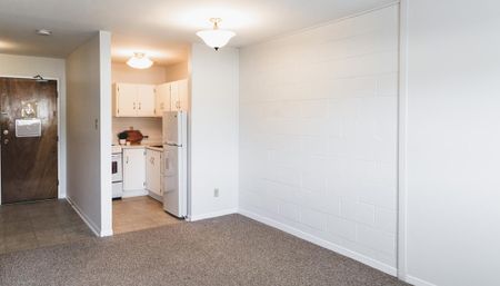 Mount Pleasant Manor - Photo 3