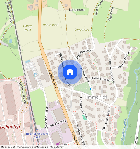 Eggwilstrasse **, 9552, Bronschhofen