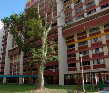 Blk 250 Bangkit Road (Bukit Panjang), HDB 4 Rooms - For Rent - Photo 5