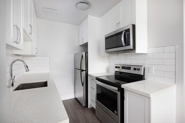 Park Manor - Photo 1