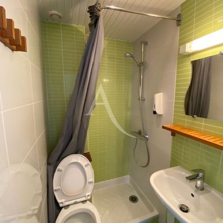 Location Appartement 1 pièce 22m² - Photo 4