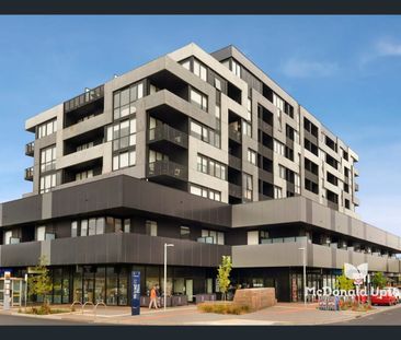 Live The High Life - Photo 5