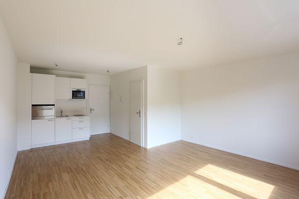 Moderne 1-Zimmerwohnung beim Claraplatz - Foto 1