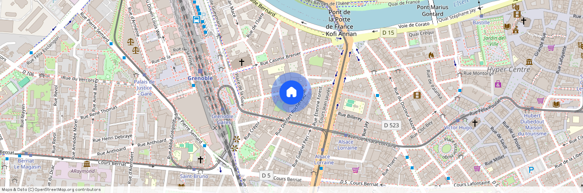 33 Avenue Félix Viallet, Grenoble