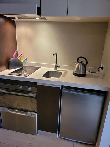Fully furnished city fringe studio - Photo 3