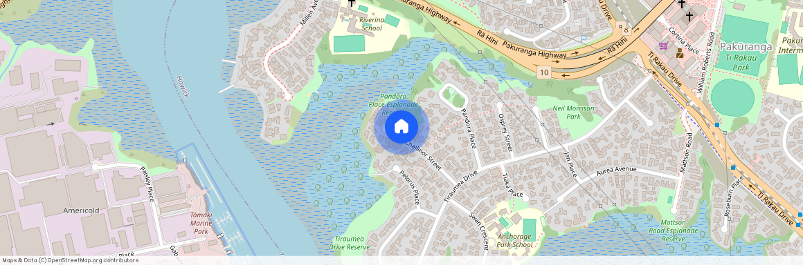 21 Challinor Street, Pakuranga, Manukau City