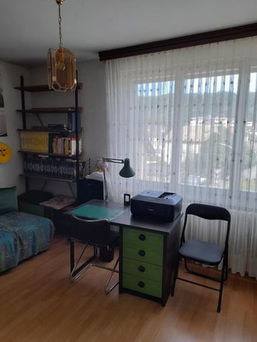 "Grossflächige Wohnung an zentraler Lage" - Photo 4