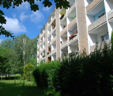 2-Raum-Wohnung - Foto 1
