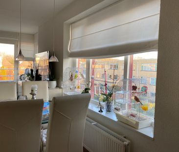 Te huur: Kruizemunt 17, 2201 MX Noordwijk - Foto 4