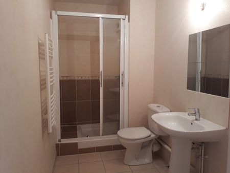 Location Appartement 2 pièces 37m² ST JEAN DE BRAYE 45800 - Photo 4