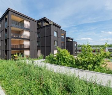 Mitten im Baumgarten - im herrlich grünen Umfeld - Photo 3