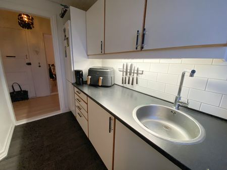 Hyggelig 2-værelses lejlighed med udsigt til Østre Anlæg - Foto 3