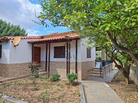 Μονοκατοικία για ενοικίαση Πόρτο Ράφτη (Μαρκόπουλο) - Photo 5