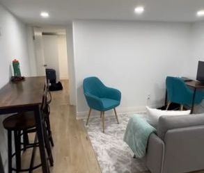 For Lease - 8 McGee Street Unit# Lower, Toronto, Ontario - Photo 6