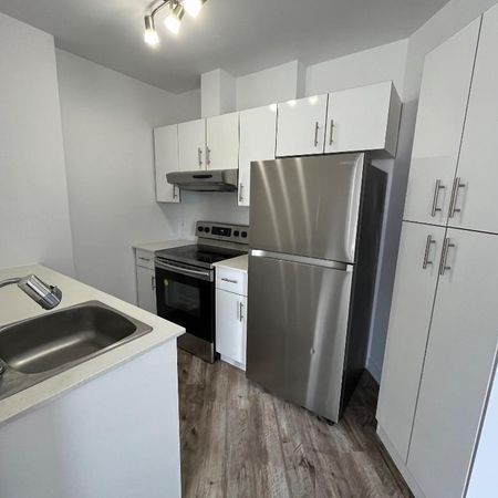 Charmant 3½ situé dans le secteur Notre-Dame-de-Grâce (NDG) - Photo 3