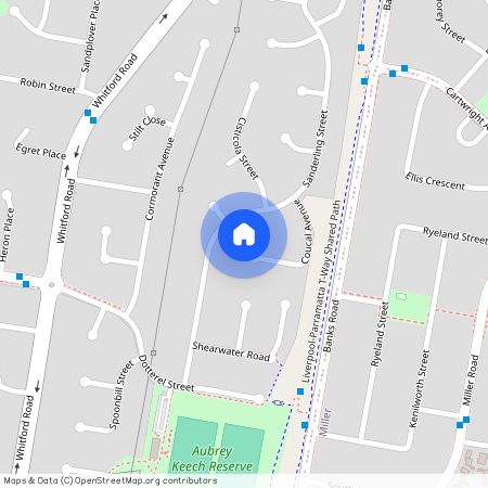 17A Coucal Avenue, NSW 2168, Hinchinbrook